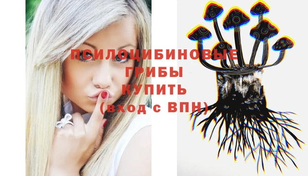 мяу мяу мука Дмитровск